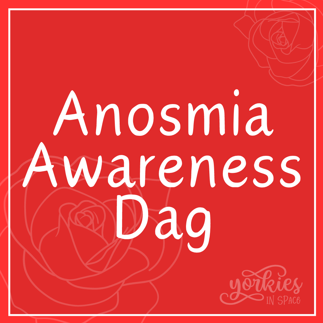 Anosmia Awareness Dag