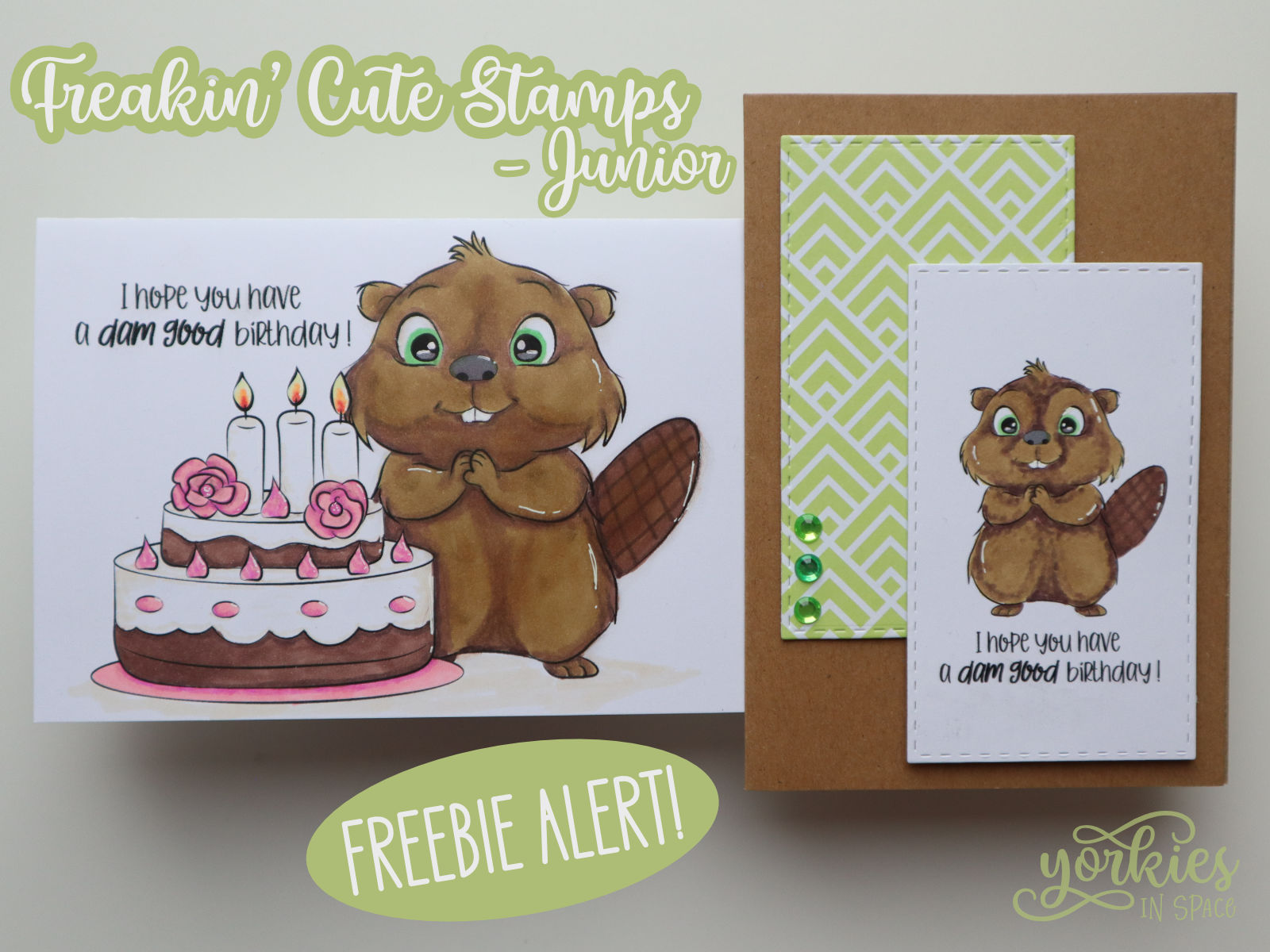 Junior – Digistamp in de spotlight + Freebie alert! (let op: beperkt beschikbaar)