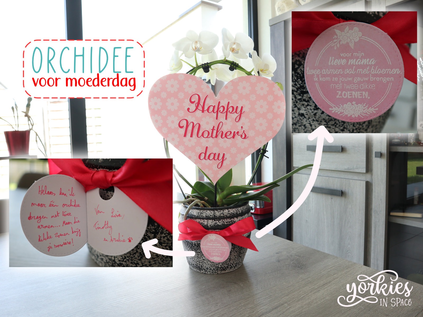 Maak je bloemetje voor Moederdag persoonlijk