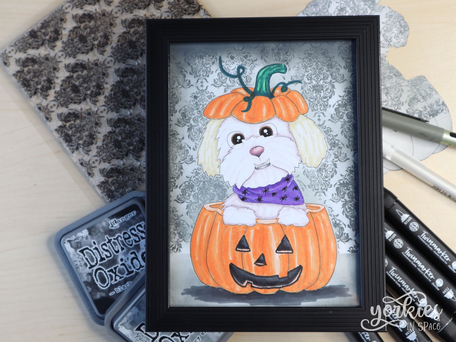 Pompoen Archie – een voorbeeld