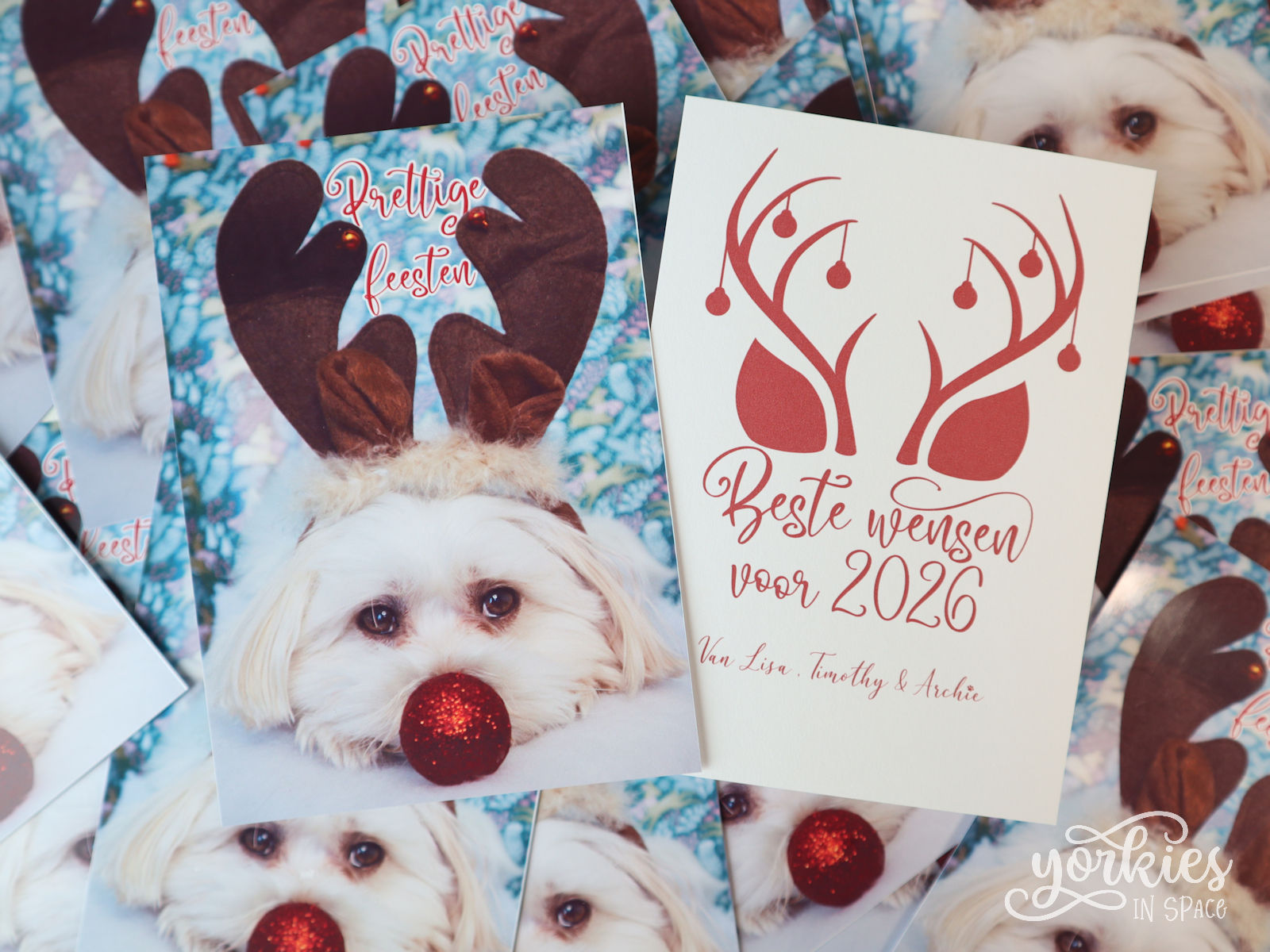 Prettige Feestdagen! – kerstkaartje 2025