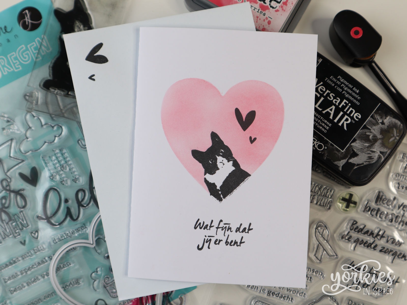 Valentijnskaartjes voor Kattekuren