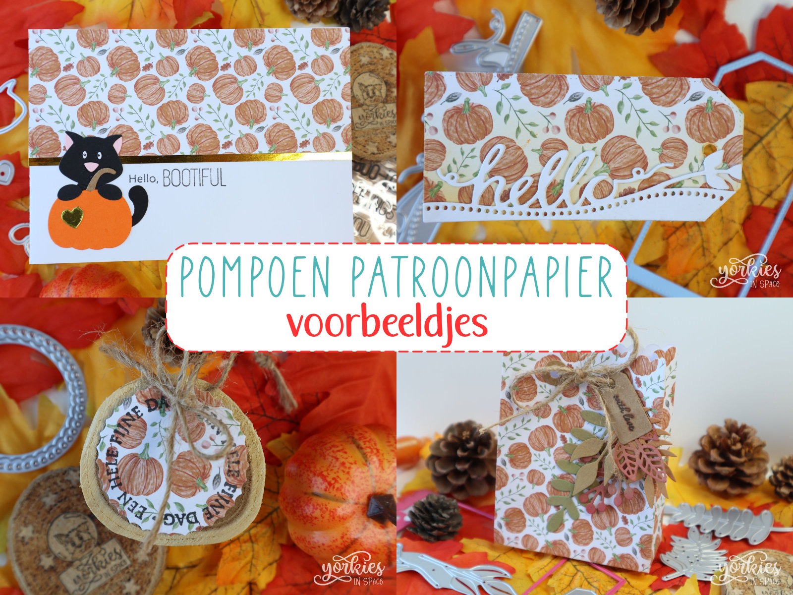 Pompoen patroonpapier freebie – voorbeeldkaartjes